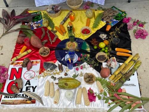 Ceremonial-altar-against-Ley-Monsanto-copy